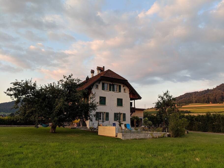 the house with its huge backyard, garden, patio and pool