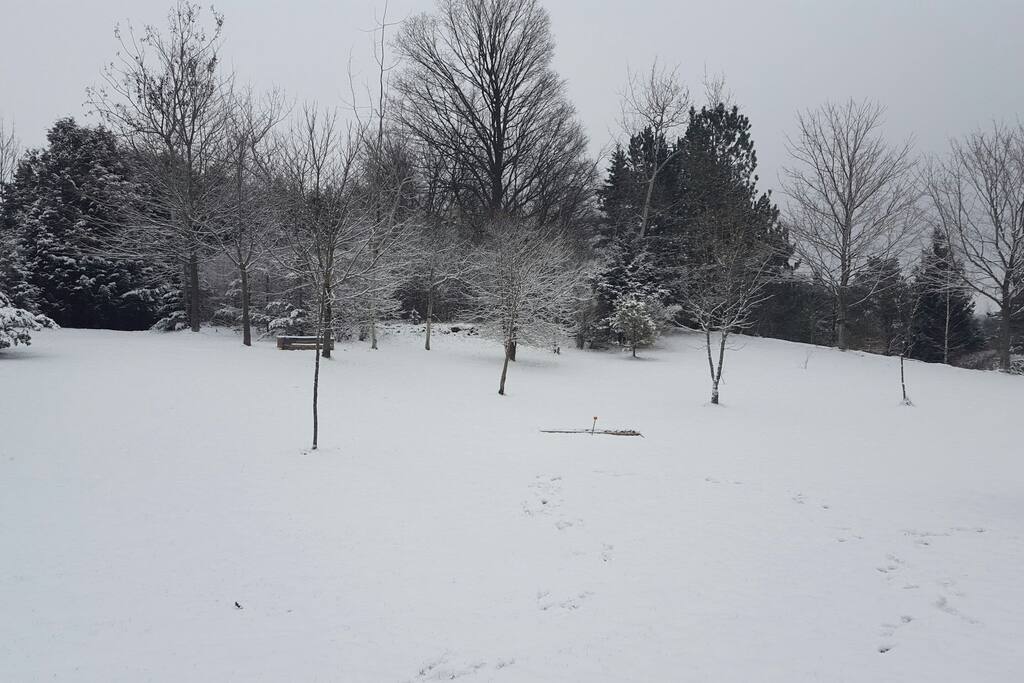 Winter view from the room's patio doors.