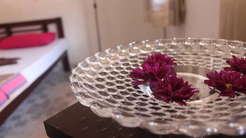 Relaxing Break in Heart of Colombo