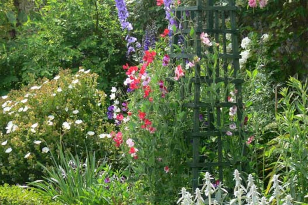 Relax in the stunning garden designed by Tessa.