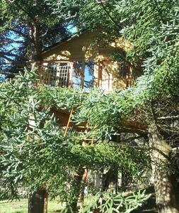 cabane dans les arbres