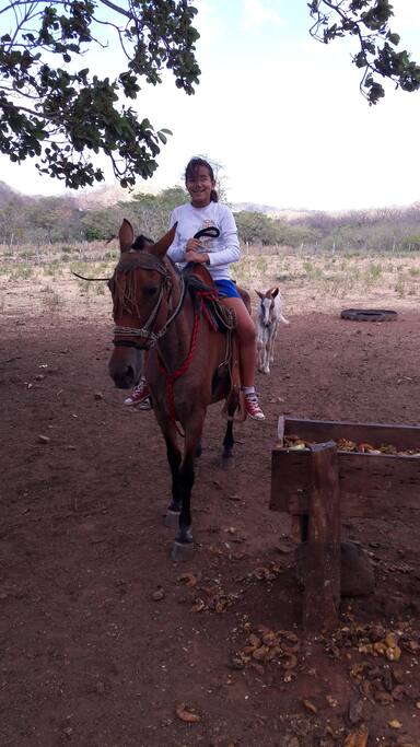 Cabalgata a caballo