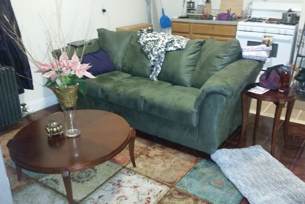 Family sized couch separates kitchen from living room