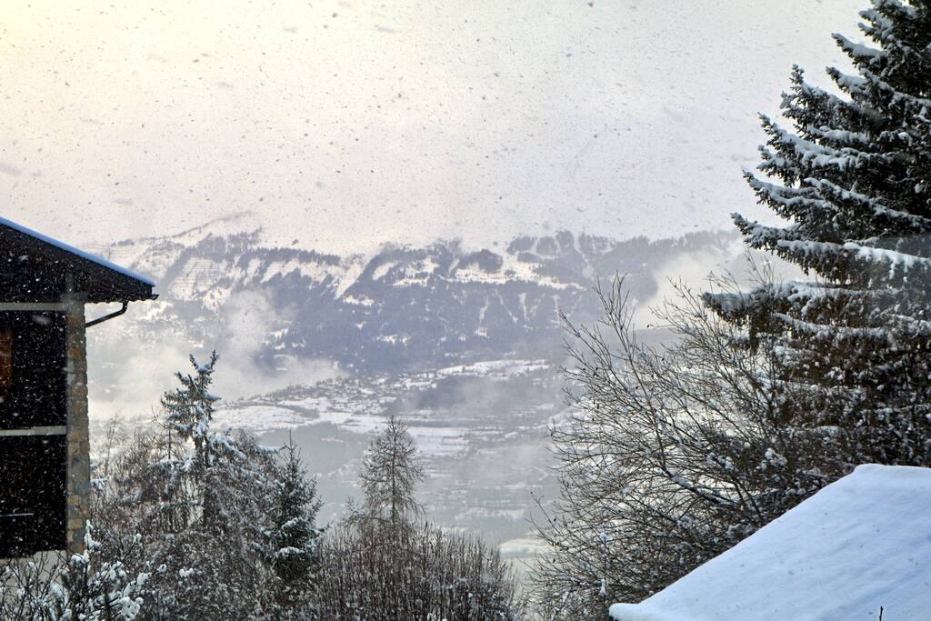 View from the living room