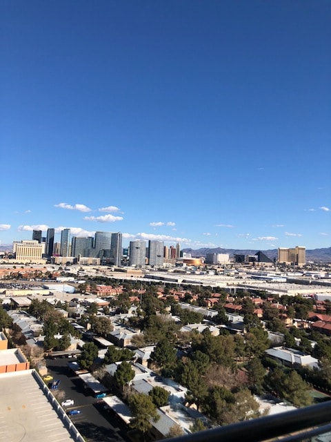Strip View Studio