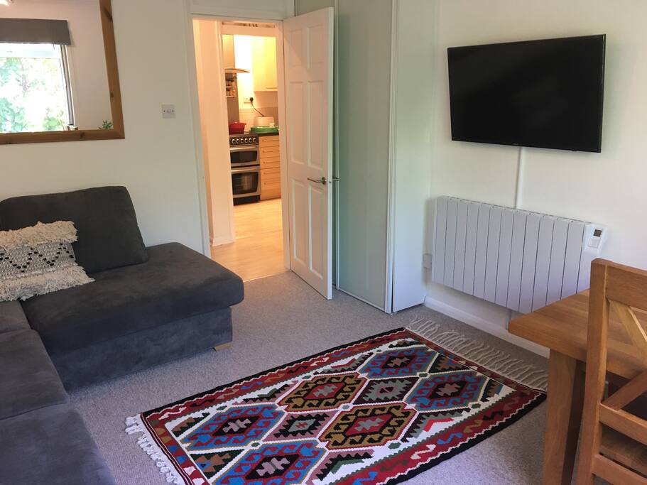 40 inch smart TV with Netflix etc