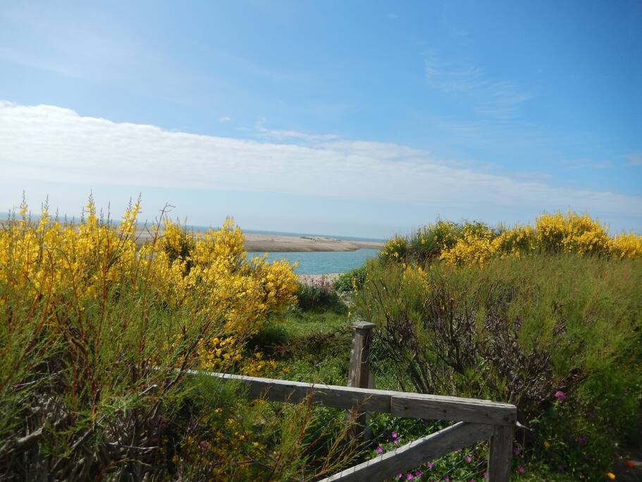 Your own gate directly onto the beach ...