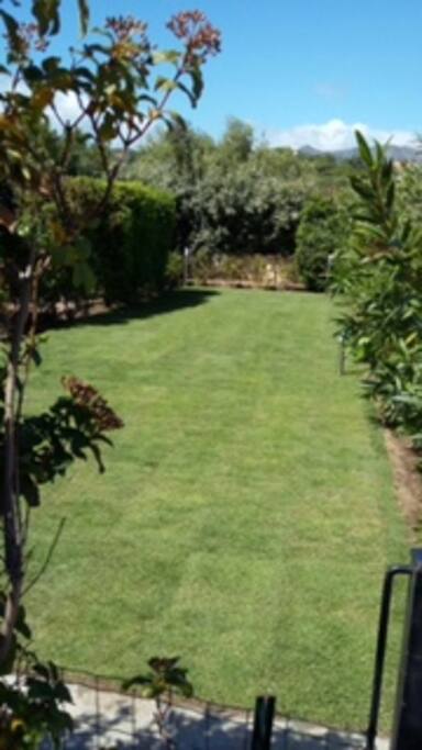Giardino appena rifatto con prato a rotoli e nuova illuminazione 1/05/2016