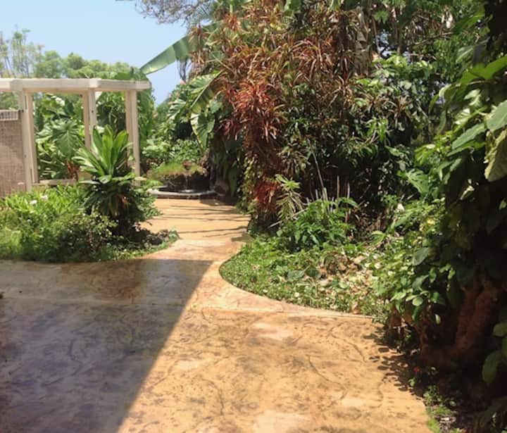 Top 8 LongTerm Rentals In KailuaKona, Hawaii Updated 2024 Trip101