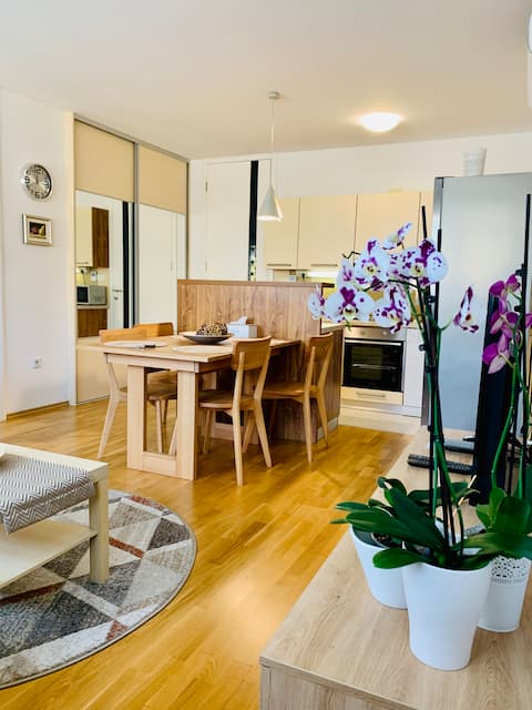 City center 2BDR child friendly & home work app