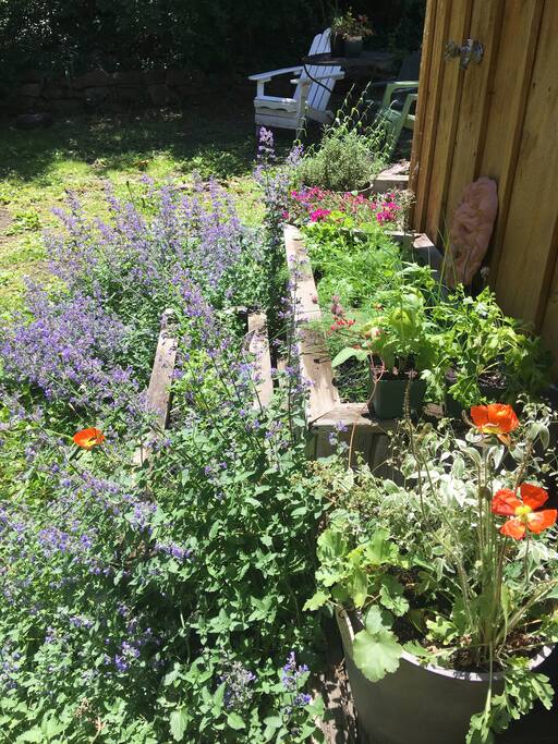 Side door spice garden