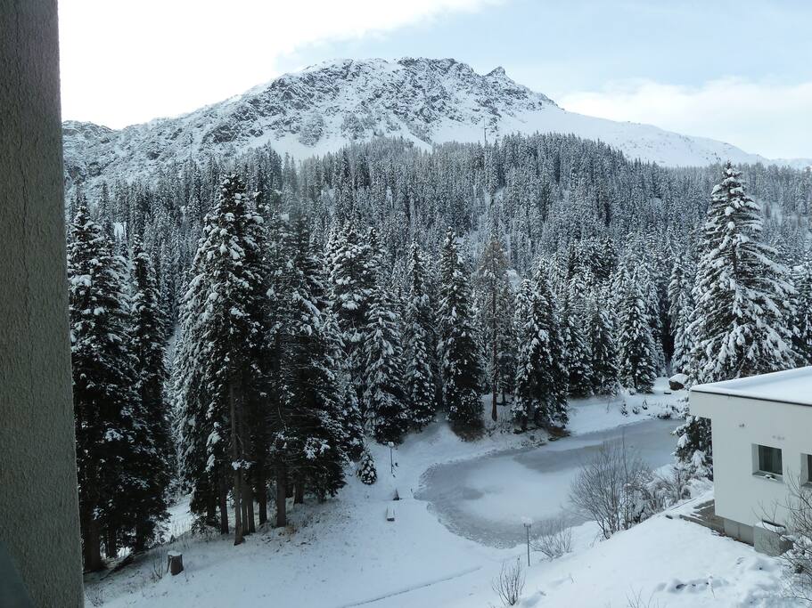 Blick vom Balkon mit Weiher / view from balcony