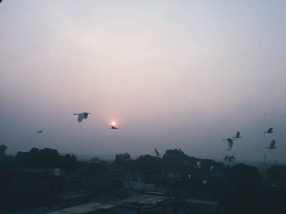 Beautiful sunset