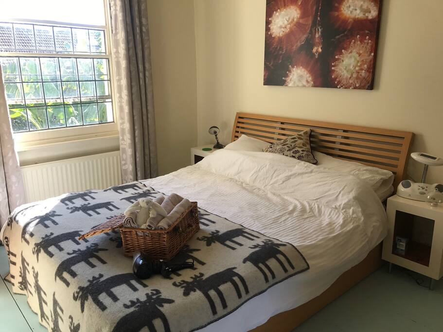 Queen sized bed in main room