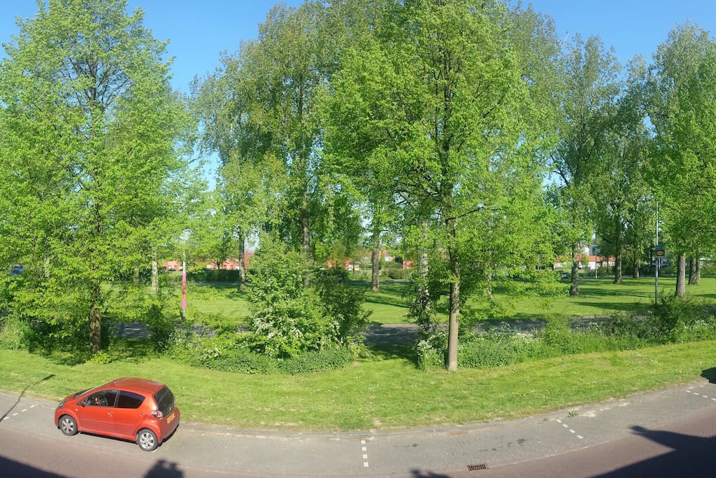 View from the balcony at the front of the house.