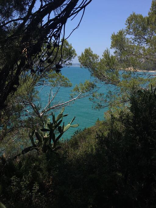 Plage proche de la maison
