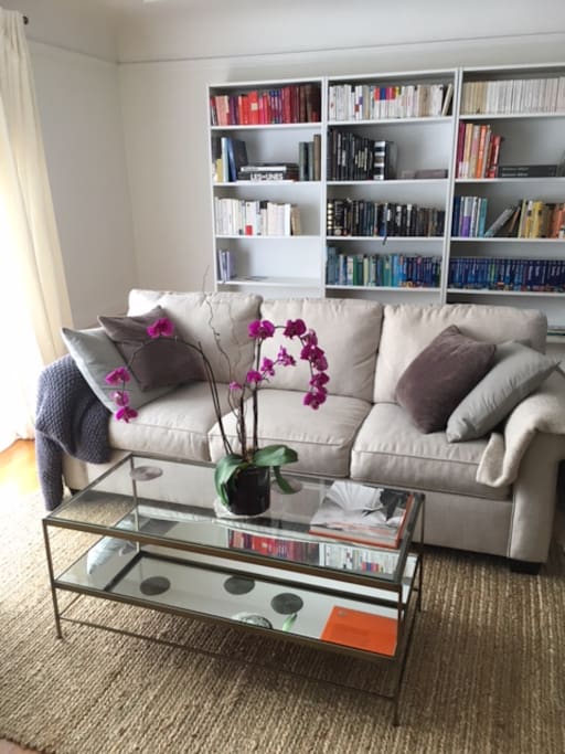 Living room - convertible sofa