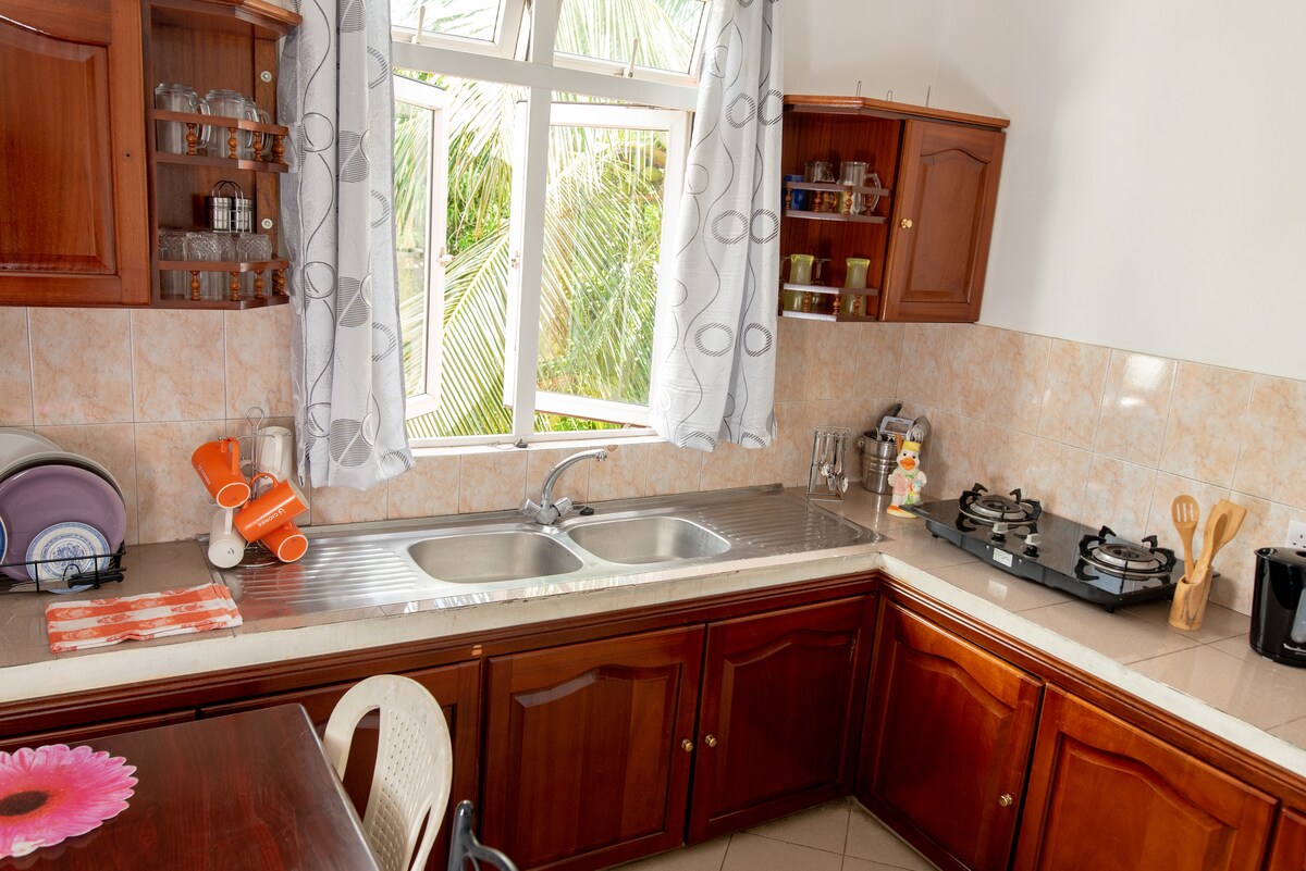 A functional kitchen space is showcased, featuring wood cabinetry and a silver countertop. Two burners are installed for cooking, and a double sink is positioned beneath a large window draped with light curtains. Dishware is neatly arranged, contributing to an organized environment.