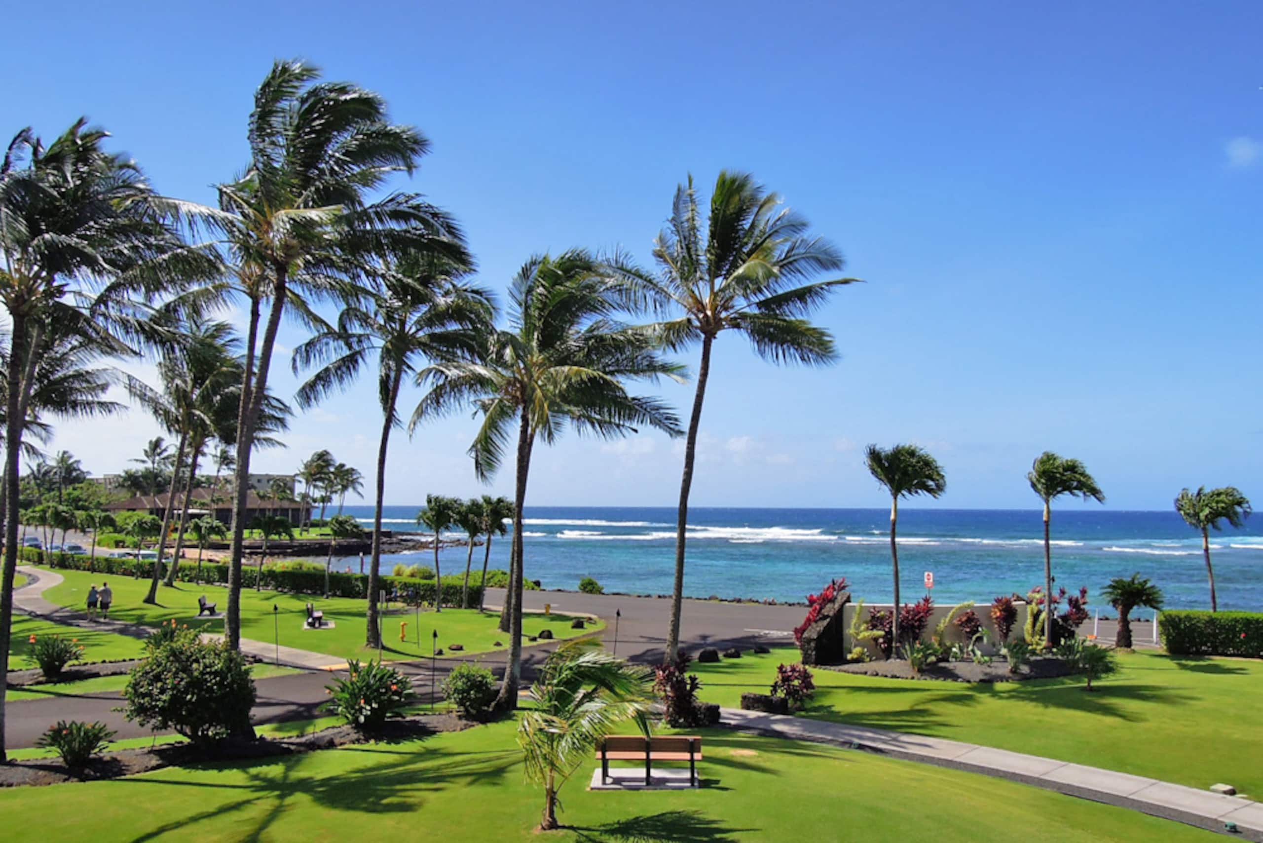 Kauai 2br - Lawai Beach Resort - Photo 25