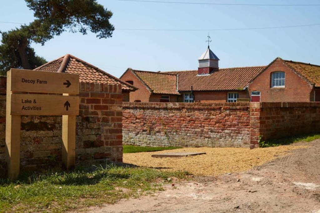 The surrounds