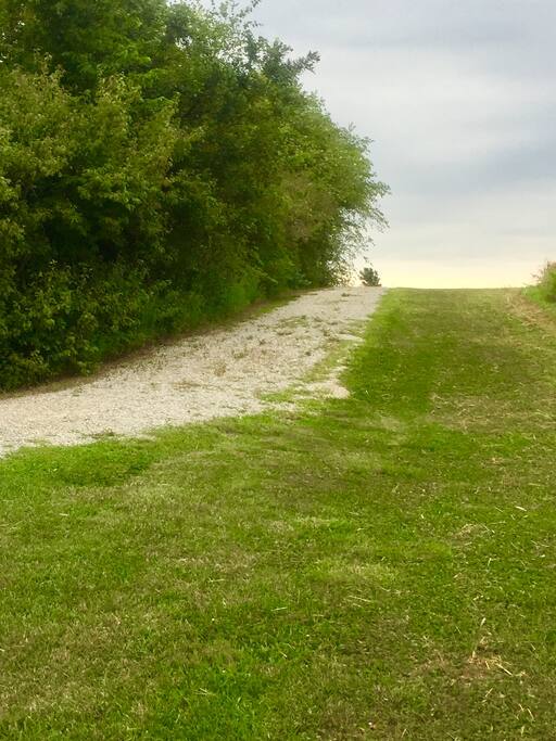 Driveway in to RV pad