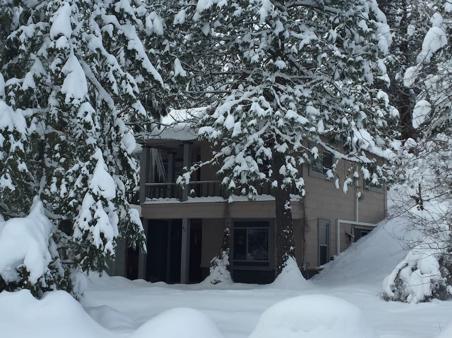 Lots of snow in December!