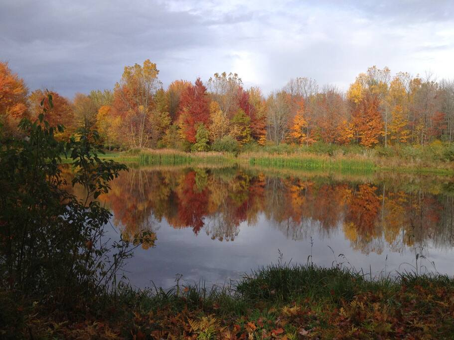 View from front yard.
