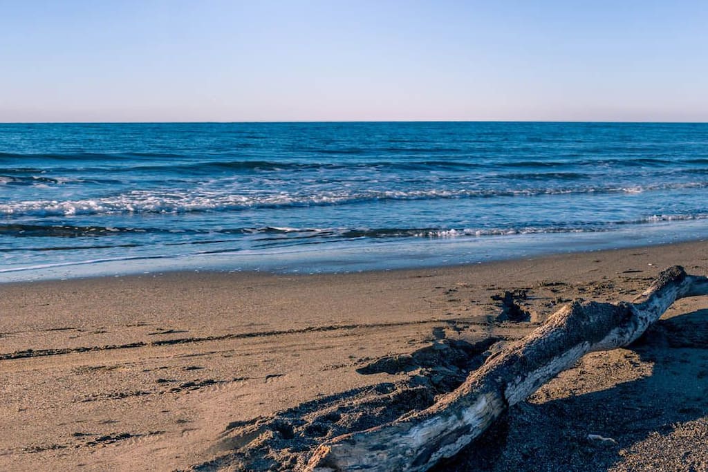 La spiaggia