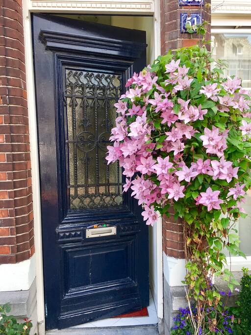 Our colorful entrance