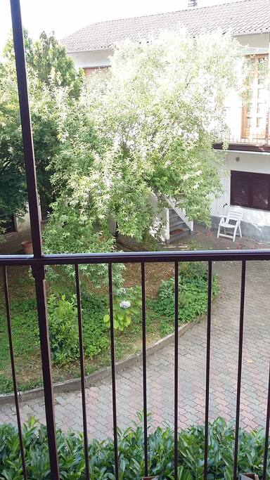 The garden