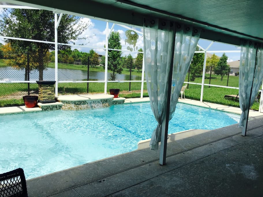 Pool / Backyard