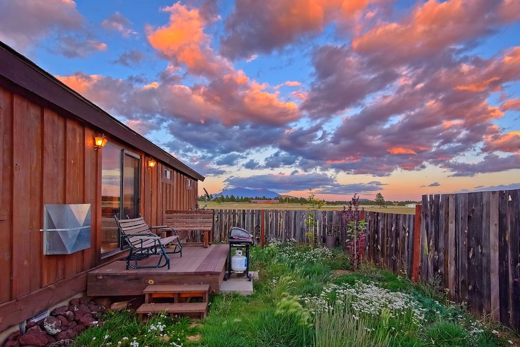 fenced in small yard