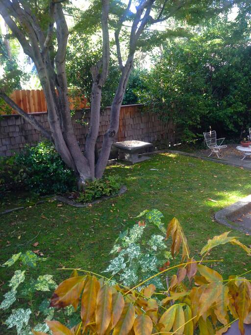 This is the Garden just outside your room