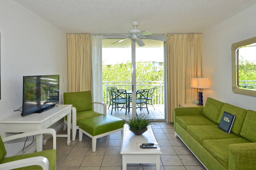 Living room w/ pull out sofa