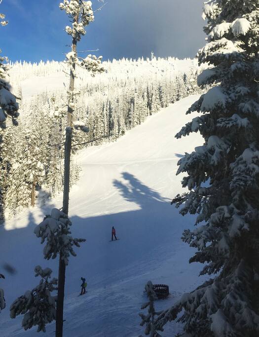 View of Perfection run from living room window