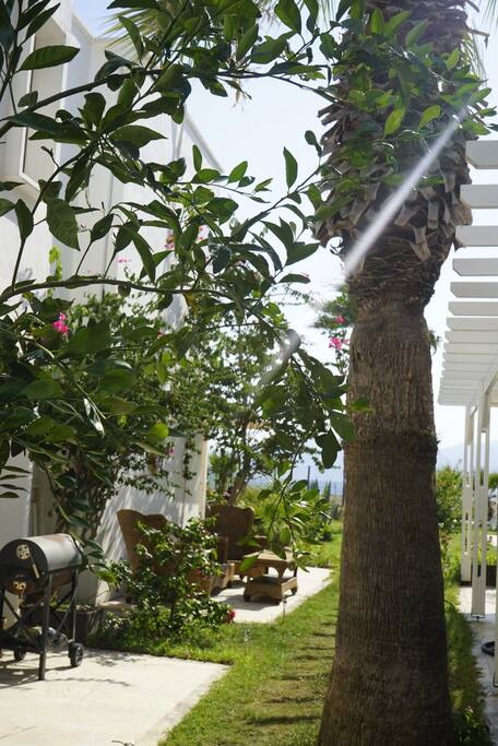 Garden view