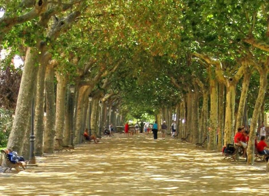 Paseo