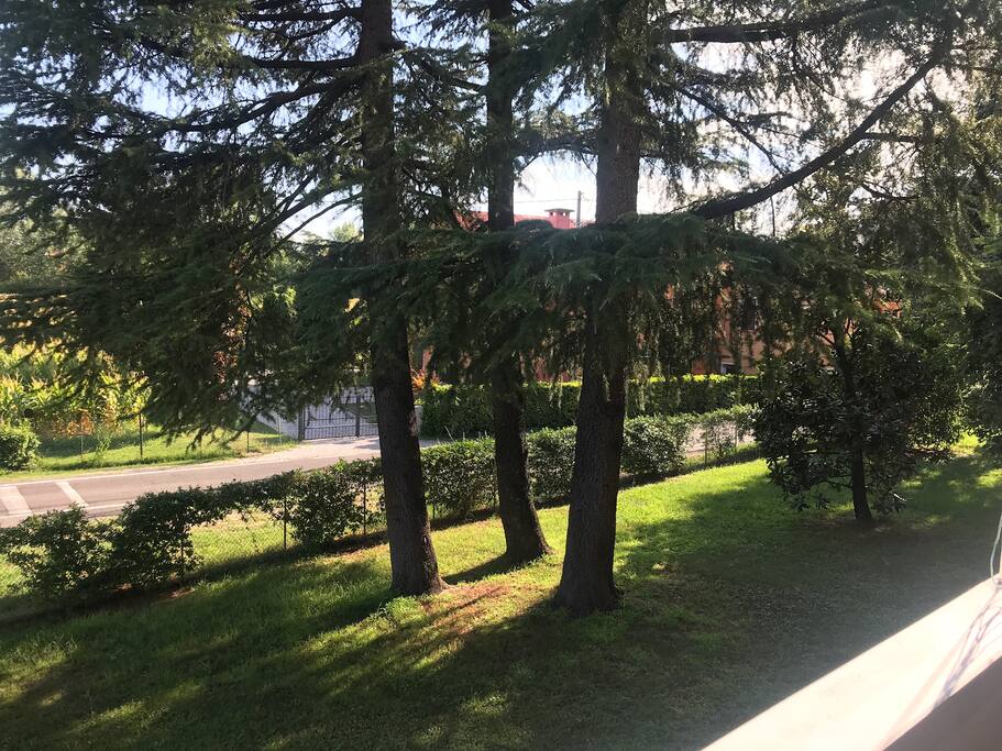 Balcony view.