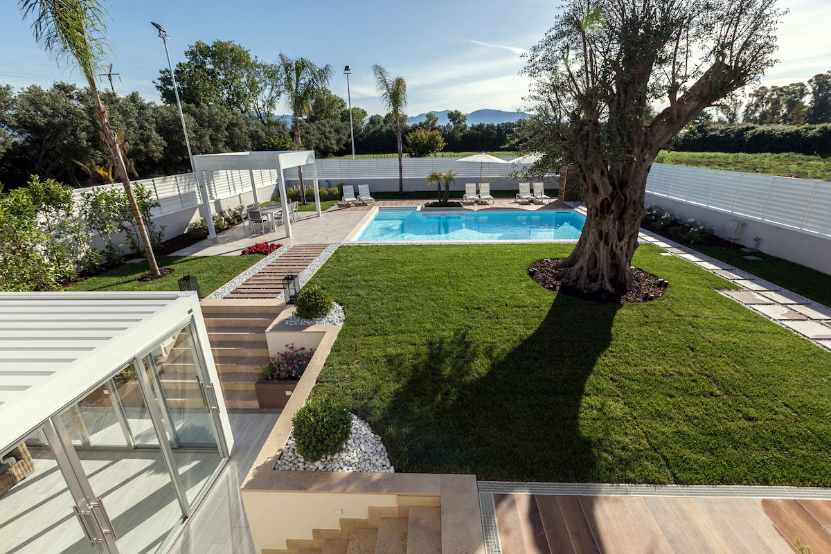 A serene outdoor area features a spacious swimming pool surrounded by well-maintained grass and palm trees. Comfortable lounge chairs are placed around the pool. An olive tree stands prominently in the garden, enhancing the tranquil atmosphere of the private space.