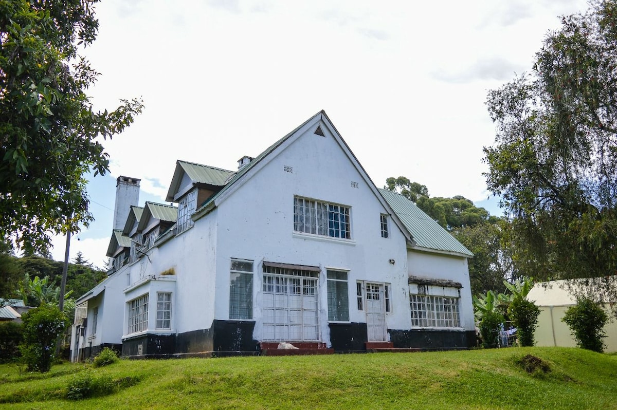 A large, two-story house is set amidst greenery, featuring a white exterior and a green roof. Multiple windows allow natural light to fill the interior, while a well-maintained lawn surrounds the building, providing an open space for relaxation.