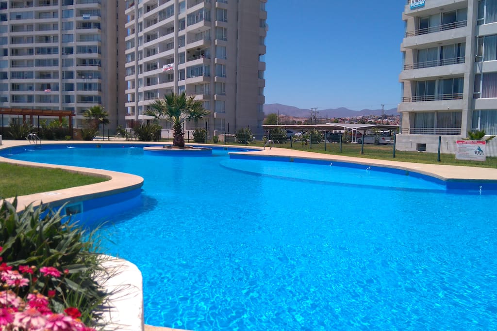 Gran piscina exterior