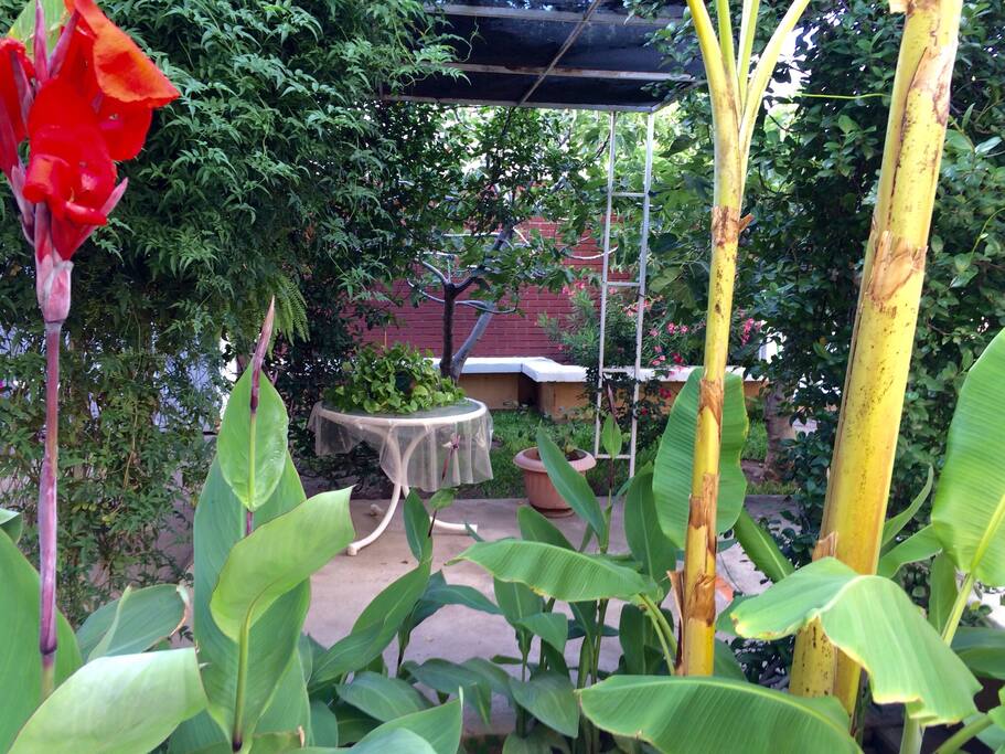 Lovely patio where you can enjoy your coffee or tea
