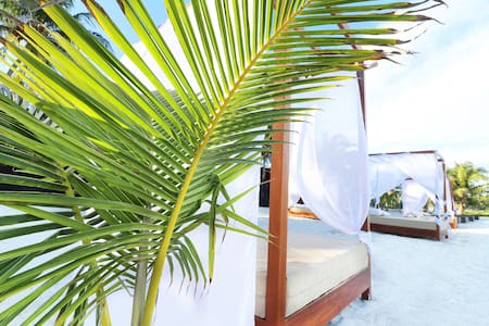Luxury Cabana By Los Amigos Beach Boutique Hotels Zur Miete In Luxury Cabana By Los Amigos Beach