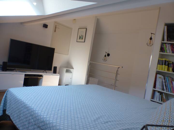 El dormitorio «de invitados» y la sala de cine de la casa/TV...