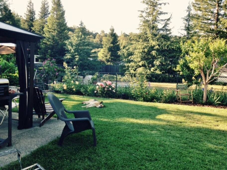 Large private backyard. Room to garden area and BBQ.