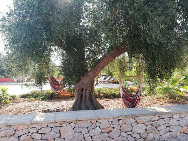 Characteristic trullo close to Ostuni and Beaches gallery image 5