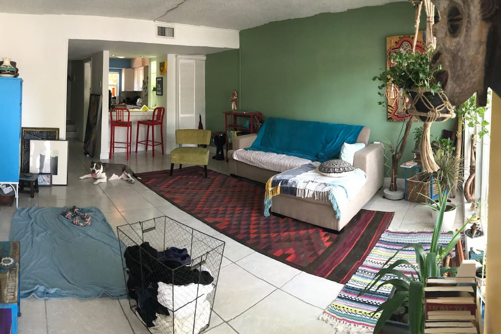 Living Room w/ Pull Out Couch