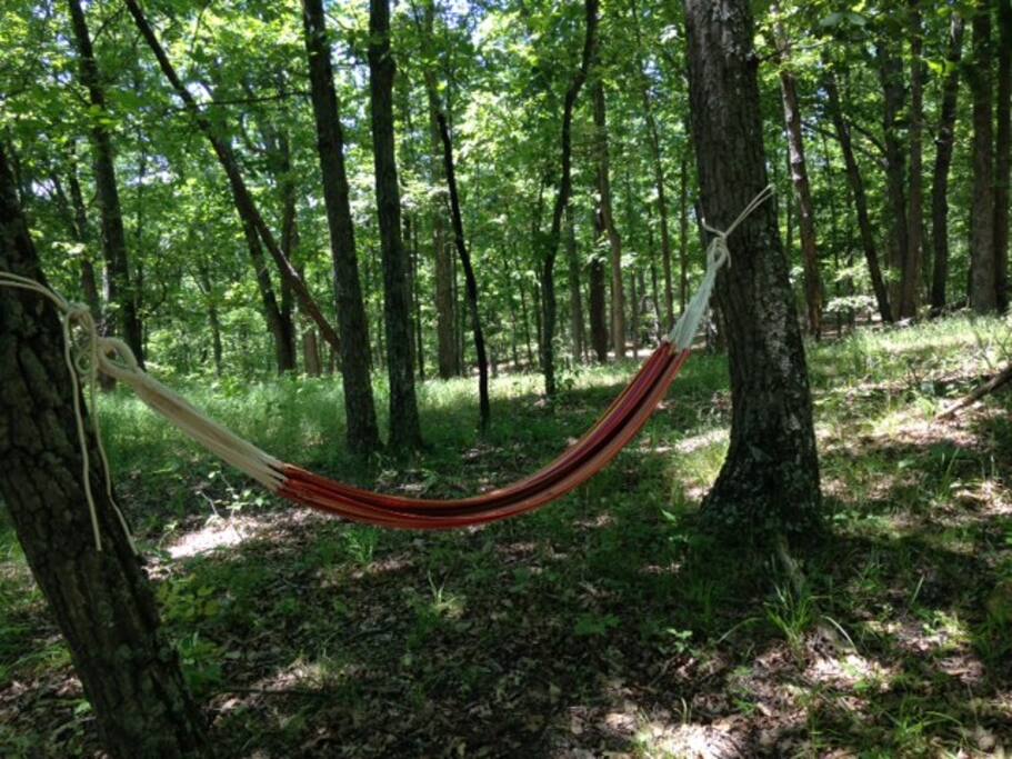 ...chill in hammock and take a snooze.