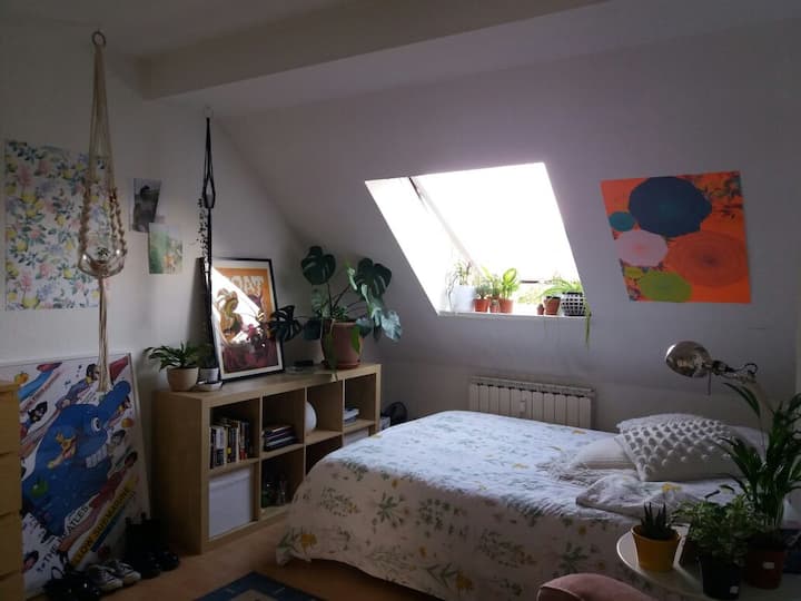 Cosy Private Room in Neukölln, Berlin
