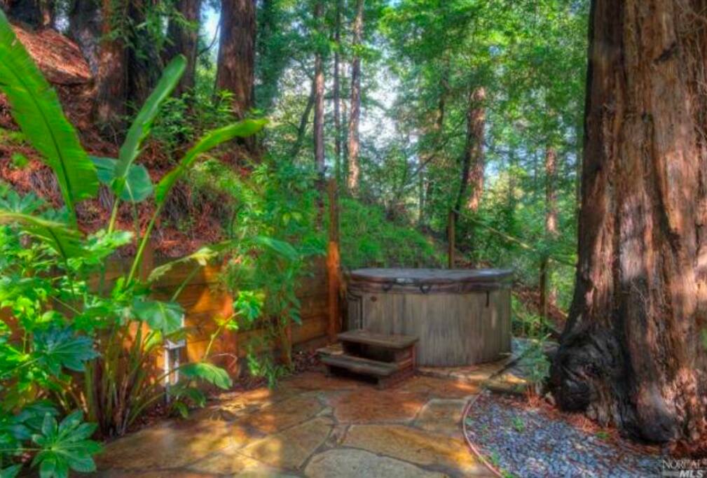Redwood Treehouse, Downtown Mill Valley Houses for Rent in Mill